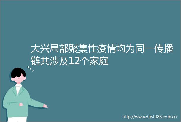 大兴局部聚集性疫情均为同一传播链共涉及12个家庭