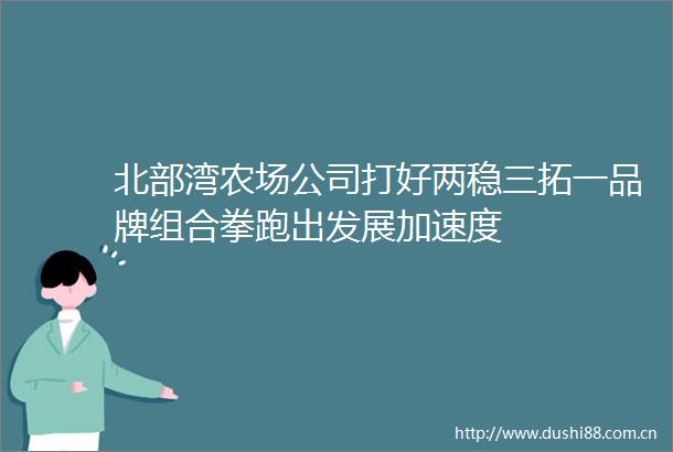 北部湾农场公司打好两稳三拓一品牌组合拳跑出发展加速度