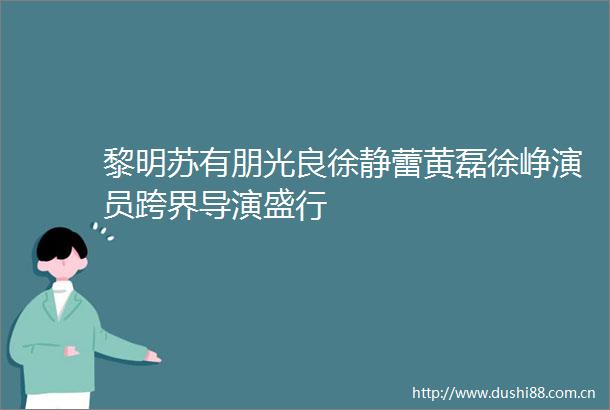 黎明苏有朋光良徐静蕾黄磊徐峥演员跨界导演盛行