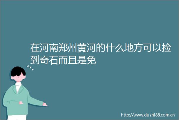 在河南郑州黄河的什么地方可以捡到奇石而且是免