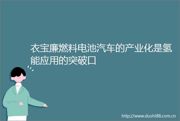 衣宝廉燃料电池汽车的产业化是氢能应用的突破口