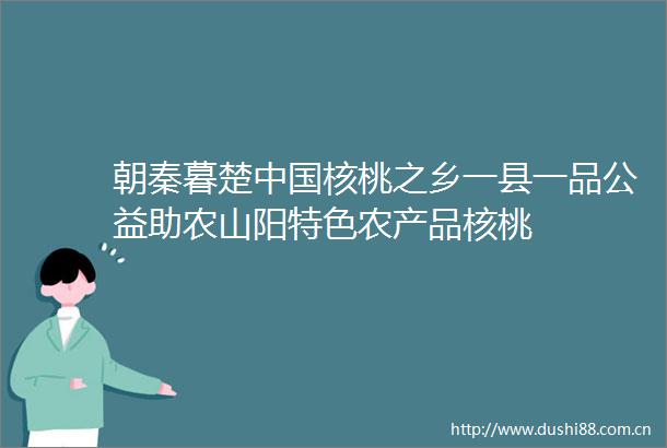 朝秦暮楚核桃之乡一县一品公益助农山阳特色农产品核桃