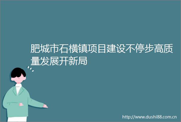 肥城市石横镇项目建设不停步高质量发展开新局