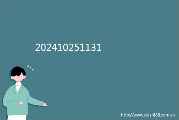 202410251131