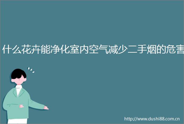 什么花卉能净化室内空气减少二手烟的危害