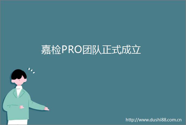 嘉检PRO团队正式成立
