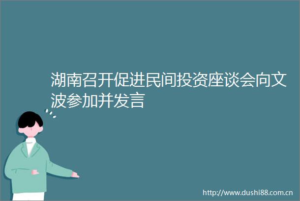 湖南召开促进民间投资座谈会向文波参加并发言