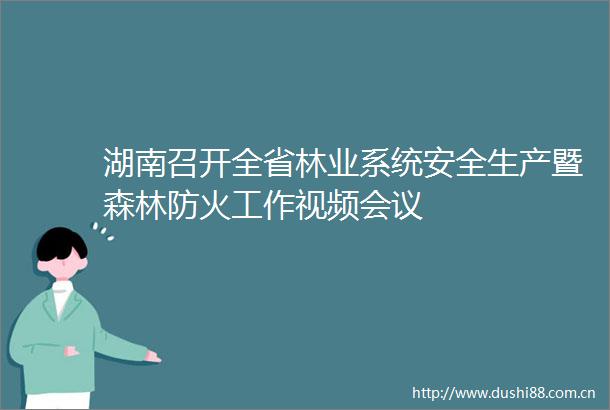 湖南召开全省林业系统安全生产暨森林防火工作视频会议