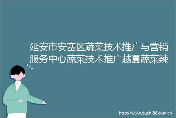 延安市安塞区蔬菜技术推广与营销服务中心蔬菜技术推广越夏蔬菜辣椒种苗采购项目竞争性谈判公告