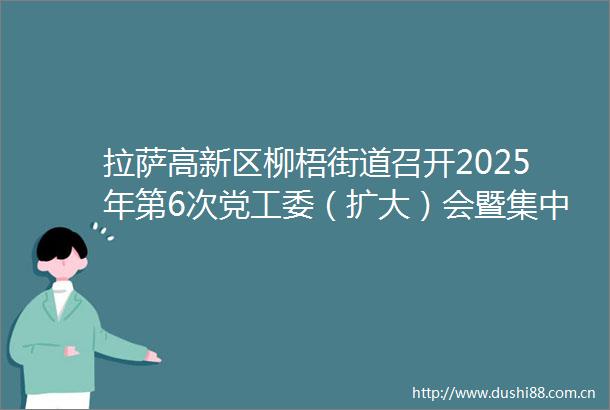 拉萨高新区柳梧街道召开2025年第6次党工委（扩大）会暨集中整治吃喝部署会