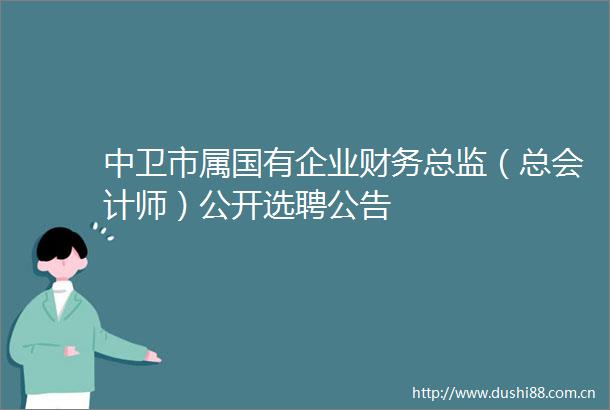 中卫市属国有企业财务总监（总会计师）公开选聘公告
