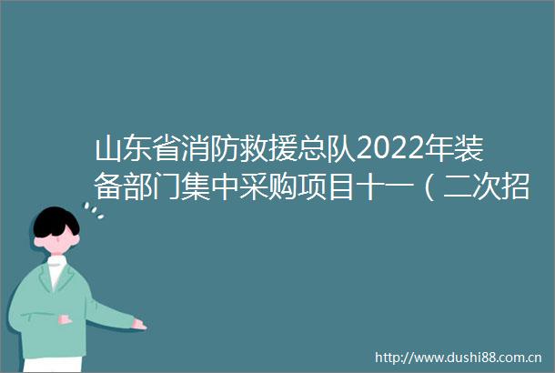 山东省消防救援总队2022年装备部门集中采购项目十一(二次招标)中标公告