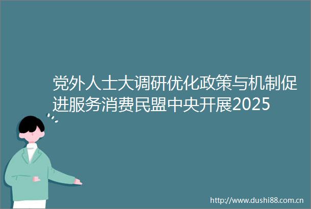 党外人士大调研优化政策与机制促进服务消费民盟中央开展2025年度重点考察调研