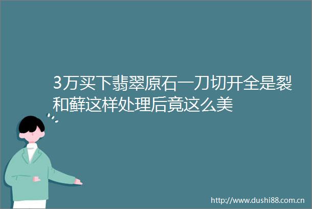3万买下翡翠原石一刀切开全是裂和藓这样处理后竟这么美