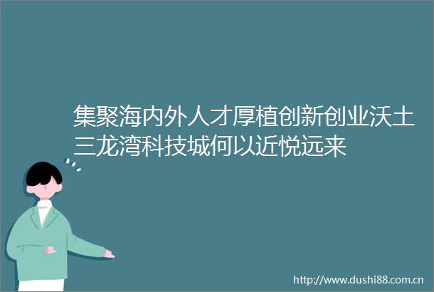集聚海内外人才厚植创新创业沃土三龙湾科技城何以近悦远来