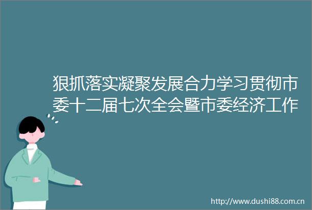 狠抓落实凝聚发展合力学习贯彻市委十二届七次全会暨市委经济工作会议精神系列评论之三