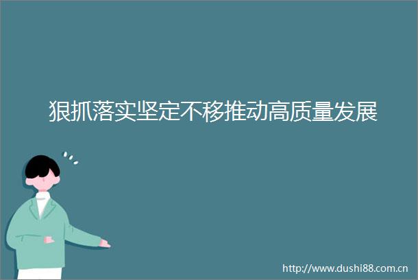 狠抓落实坚定不移推动高质量发展