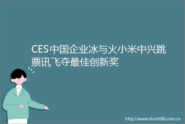 CES企业冰与火小米中兴跳票讯飞夺最佳创新奖