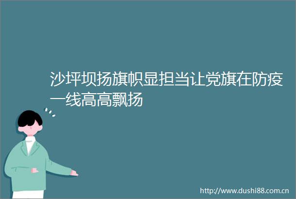 沙坪坝扬旗帜显担当让党旗在防疫一线高高飘扬