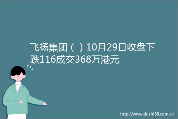 飞扬集团（）10月29日收盘下跌116成交368万港元