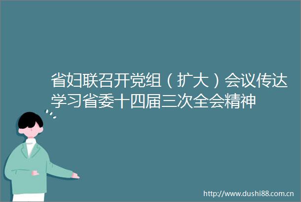 省妇联召开党组（扩大）会议传达学习省委十四届三次全会精神