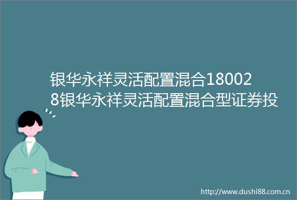 银华永祥灵活配置混合180028银华永祥灵活配置混合型证券投资基金招募说明书更新2024年第1号