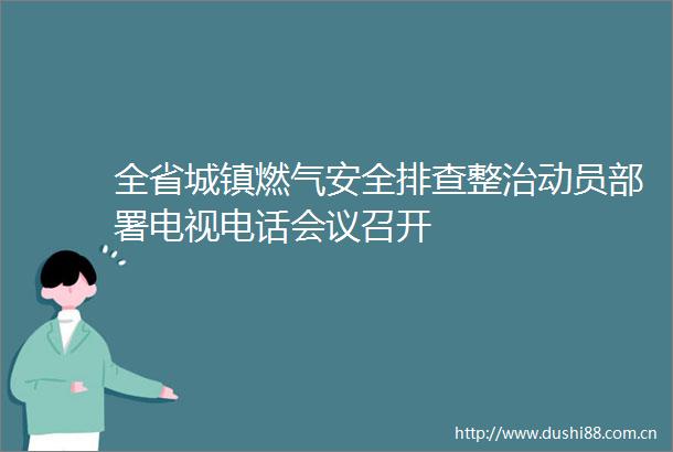 全省城镇燃气安全排查整治动员部署电视电话会议召开