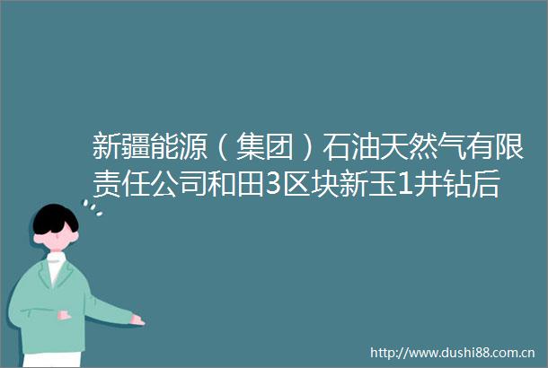 新疆能源（集团）石油天然气有限责任公司和田3区块新玉1井钻后分析与成藏条件评价研究项目竞争性磋商采购公告