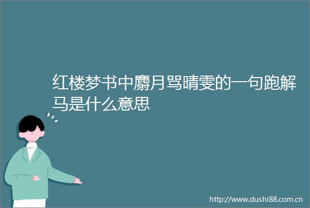 红楼梦书中麝月骂晴雯的一句跑解马是什么意思
