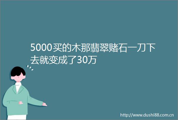 5000买的木那翡翠赌石一刀下去就变成了30万