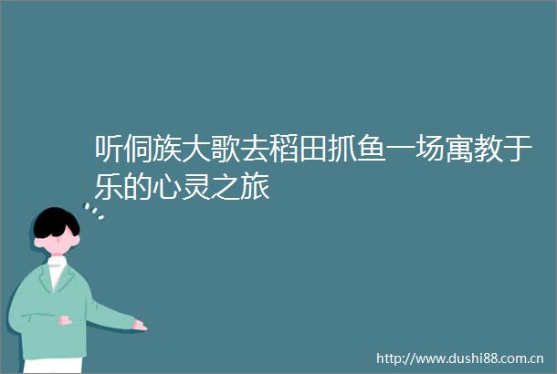 听侗族大歌去稻田抓鱼一场寓教于乐的心灵之旅