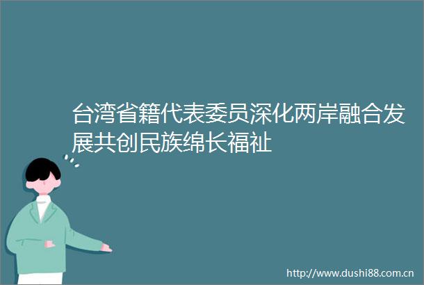 台湾省籍代表委员深化两岸融合发展共创民族绵长福祉
