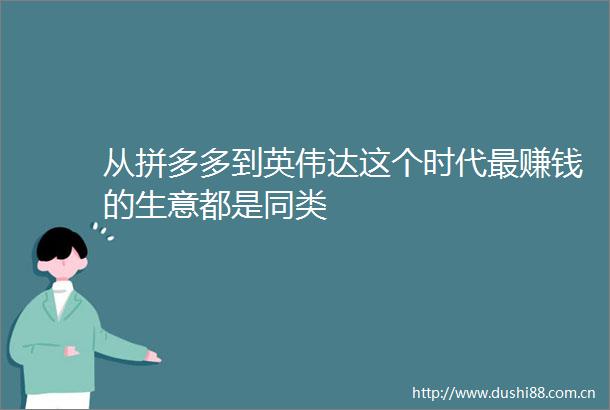 从拼多多到英伟达这个时代最赚钱的生意都是同类
