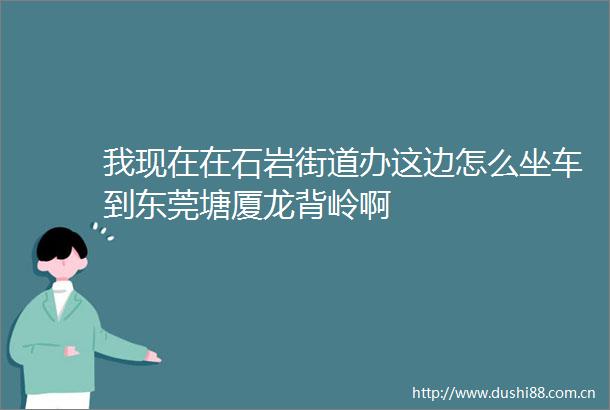 我现在在石岩街道办这边怎么坐车到东莞塘厦龙背岭啊