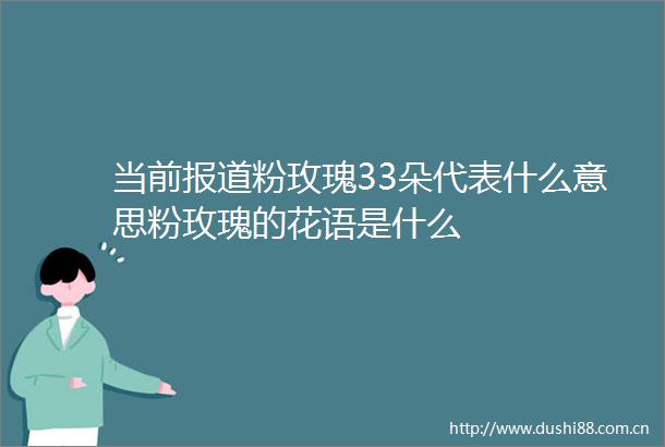 当前报道粉玫瑰33朵代表什么意思粉玫瑰的花语是什么