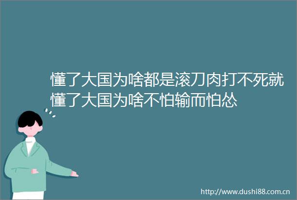 懂了大国为啥都是滚刀肉打不死就懂了大国为啥不怕输而怕怂