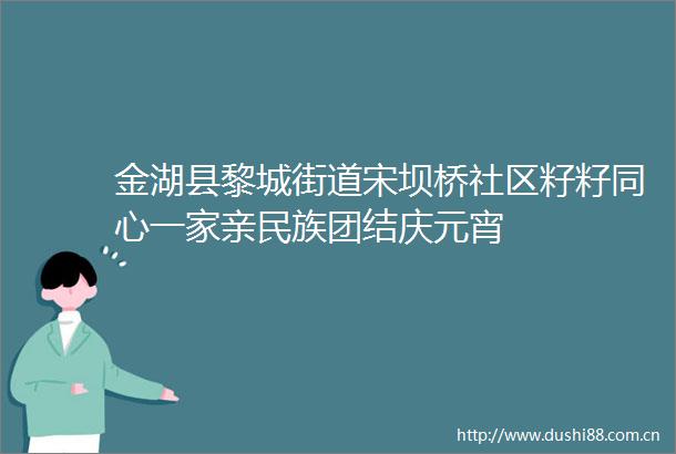 金湖县黎城街道宋坝桥社区籽籽同心一家亲民族团结庆元宵