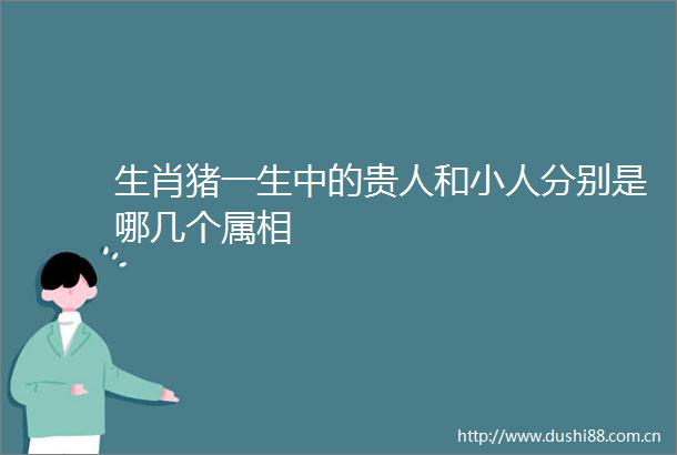 生肖猪一生中的贵人和分别是哪几个属相
