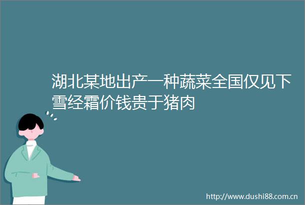 湖北某地出产一种蔬菜全国仅见下雪经霜价钱贵于猪肉