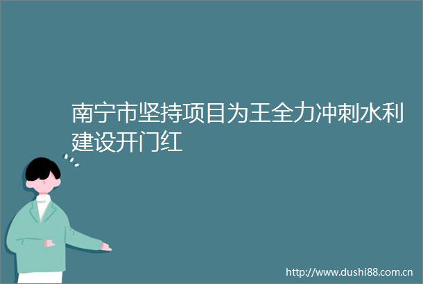 南宁市坚持项目为王全力冲刺水利建设开门红