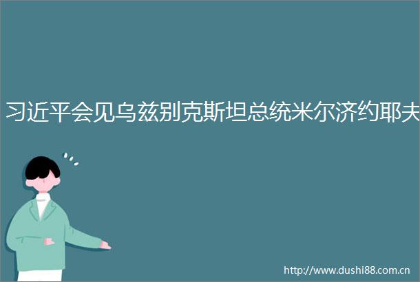 会见乌兹别克斯坦总统米尔济约耶夫