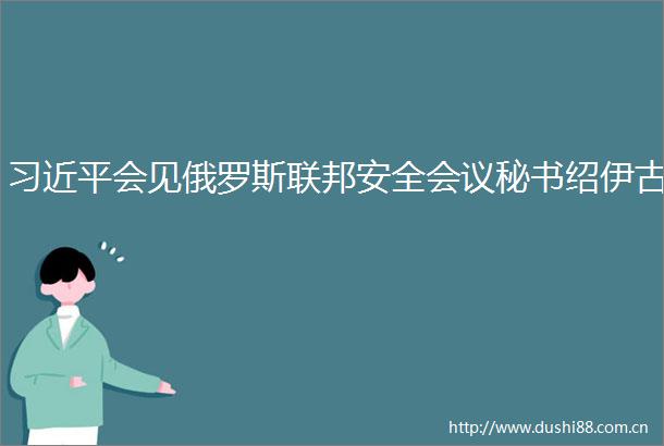 会见俄罗斯联邦安全会议秘书绍伊古