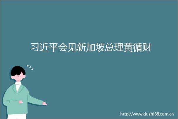 会见新加坡总理黄循财