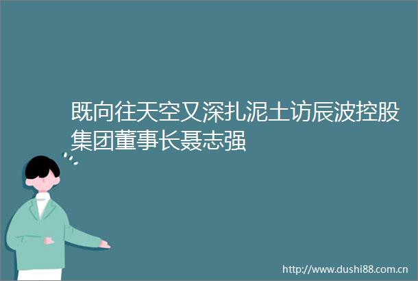 既向往天空又深扎泥土访辰波控股集团董事长聂志强
