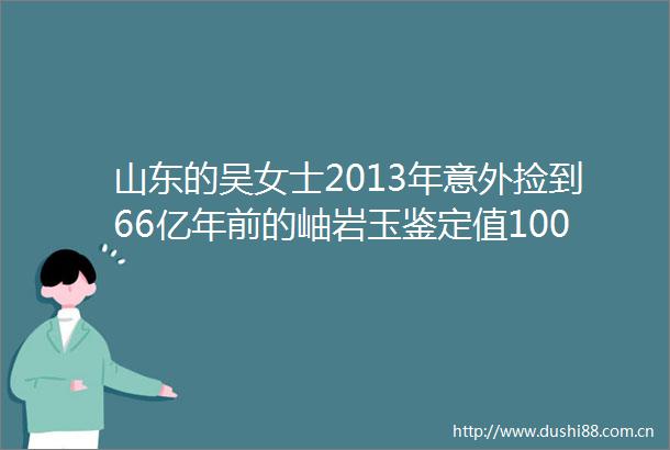 山东的吴女士2013年意外捡到66亿年前的岫岩玉鉴定值100