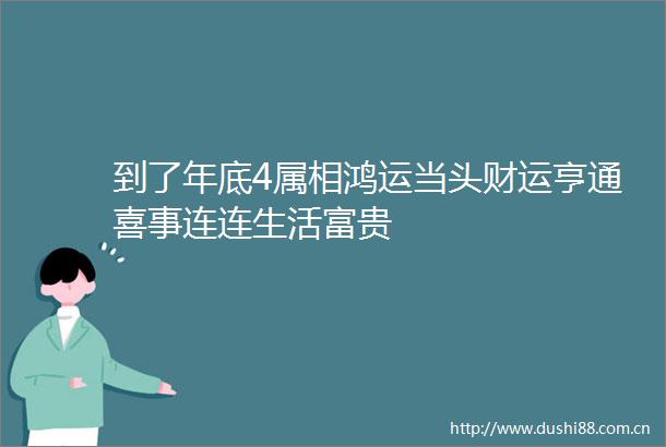 到了年底4属相鸿运当头财运亨通喜事连连生活富贵