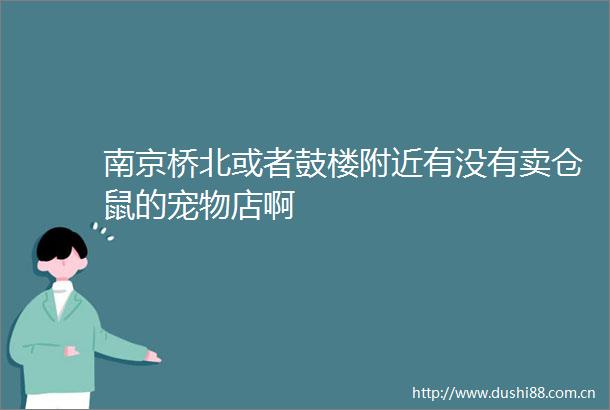 南京桥北或者鼓楼附近有没有卖仓鼠的宠物店啊