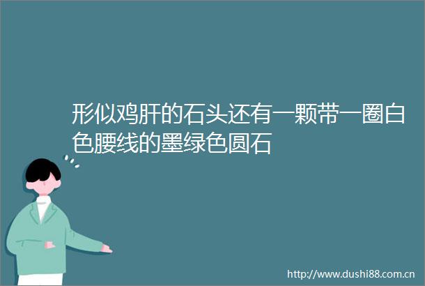 形似鸡肝的石头还有一颗带一圈白色腰线的墨绿色圆石