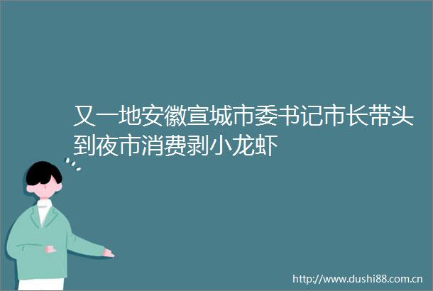 又一地安徽宣城市委书记市长带头到夜市消费剥小龙虾