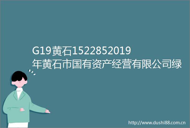 G19黄石1522852019年黄石市国有资产经营有限公司绿色债券2024年跟踪评级报告